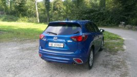 2013-08-23 Hinten Wald.jpg