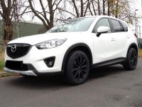 Seitenansicht VL.jpg