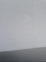 IMG_0891.jpg