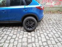IMG_20140228_160721.jpg