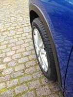 Gerhardt (1 von 1)-2.jpg Gerhardt (1 von 1)-2.jpg