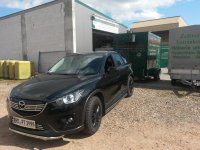 Samsung s4 mini 508.jpg