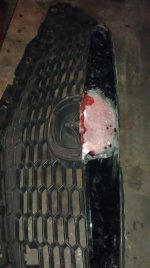 IMAG0927.jpg