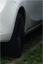 zubreit.jpg
