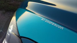 IMAG2179.jpg IMAG2179.jpg