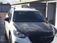 ImageUploadedByTapatalk1442487506.824684.jpg ImageUploadedByTapatalk1442487506.824684.jpg