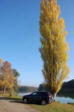DSC_0828.jpg