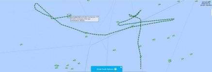 Aquamarine ACE 1.jpg