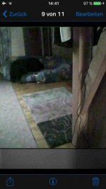 IMG_0016.jpg