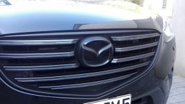 Emblem vorne.jpg Emblem vorne.jpg