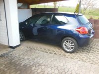 Auris 052.jpg