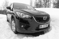 Norwegen-2016-02-800-sw.jpg
