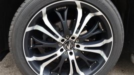 20160529_141926 (FILEminimizer).jpg