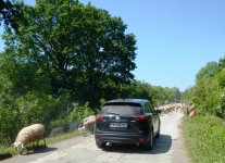 RSCN4269.jpg RSCN4269.jpg