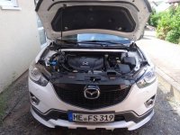 DSC02015.jpg DSC02015.jpg