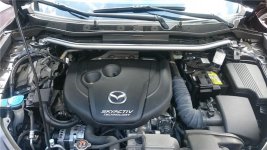 DSC_2269.jpg DSC_2269.jpg