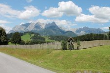 IMG_0081.jpg
