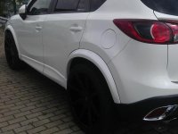 IMAG0310.jpg