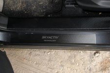 IMG_1131.jpg