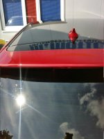 IMG_20160806_111429.jpg
