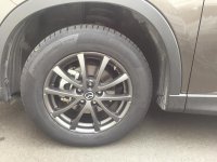 IMG_3254.jpg IMG_3254.jpg