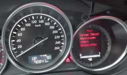 OELDRUCK.jpg OELDRUCK.jpg