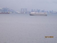 IMG_2842.jpg