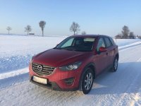 Auto Winter.jpg