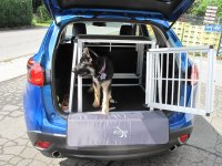 IMG_4BD582-2D5697-58CBE1-35D2B1-80C3EB-3F6013.jpg IMG_4BD582-2D5697-58CBE1-35D2B1-80C3EB-3F6013.jpg