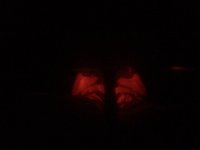 IMG_3847.jpg