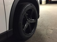 IMG_0233.jpg