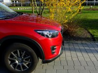 RotGelb.jpg RotGelb.jpg