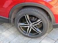 IMG_1298.jpg