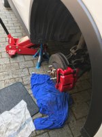 IMG_5559.jpg