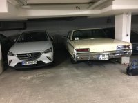 IMG_2996.jpg