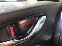 IMG_4981.jpg IMG_4981.jpg