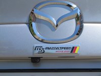 IMG_2555.jpg