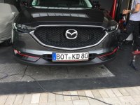 IMG_0779.jpg