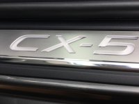 IMG_0801.jpg IMG_0801.jpg