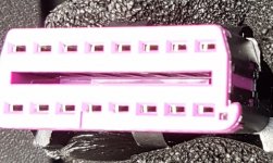 20170624_100505.jpg