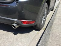 IMG_1211.jpg IMG_1211.jpg