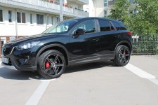 IMG_0379.jpg IMG_0379.jpg