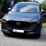 Schnauze schwarz.jpg