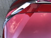 4D2F5F6C-8E23-46A7-8FF9-F564CEED3418.jpg 4D2F5F6C-8E23-46A7-8FF9-F564CEED3418.jpg