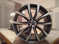 IMG_20171114_202709.jpg