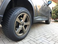 2017-11-03 16.11.48.jpg