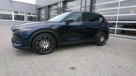 DSC_1246.jpg DSC_1246.jpg