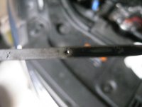 IMG_5498.jpg IMG_5498.jpg