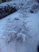 IMG_20180331_194238670.jpg