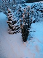 IMG_20180331_194242637.jpg